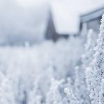 تصویر: dummy-magazine-2-1775765955.jpg