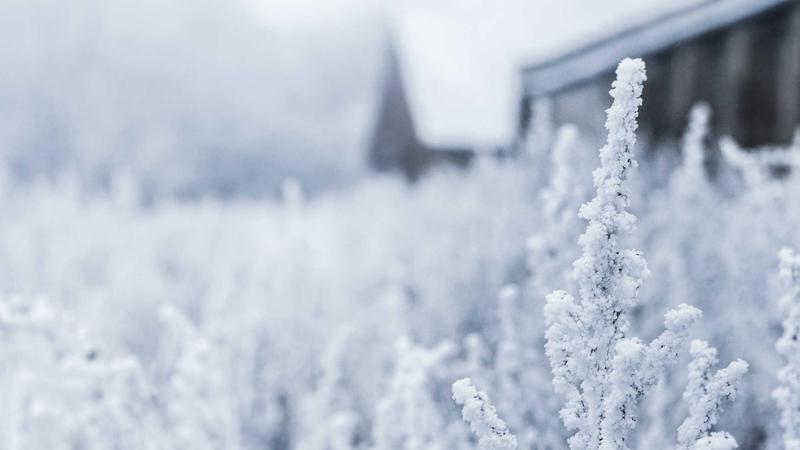 تصویر: dummy-magazine-2-1775765955.jpg