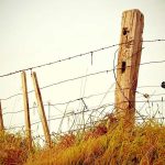 تصویر: dummy-magazine-8-1775765973.jpg