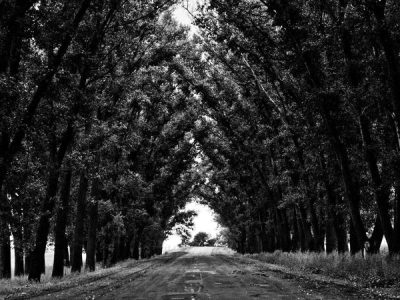 تصویر: dummy-provider-16-1775765938.jpg