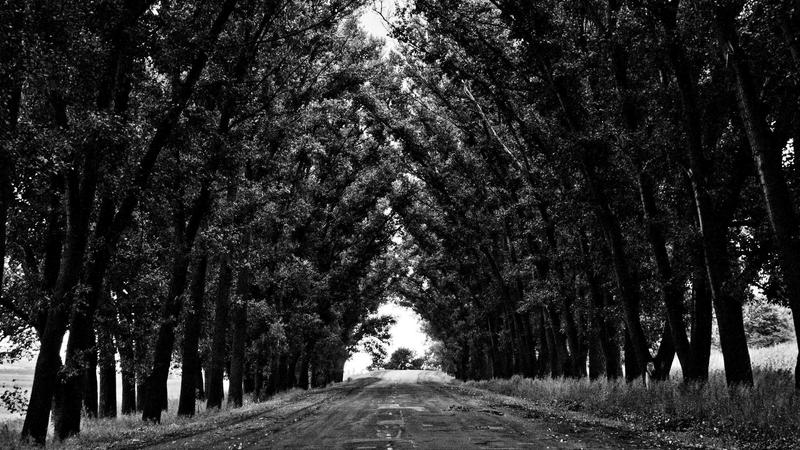 تصویر: dummy-provider-16-1775765938.jpg