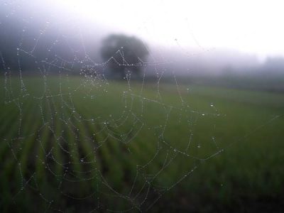 تصویر: dummy-provider-19-1775765946.jpg