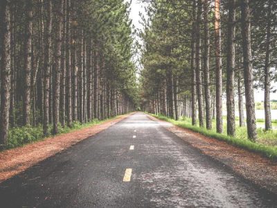 تصویر: dummy-provider-5-1775765911.jpg