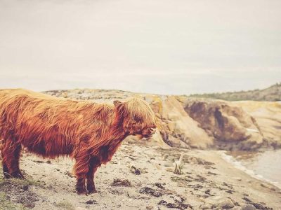 تصویر: dummy-provider-7-1775765916.jpg