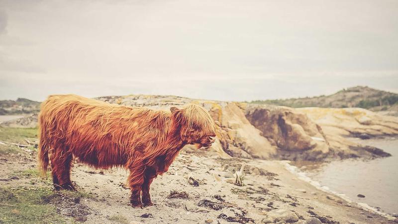 تصویر: dummy-provider-7-1775765916.jpg