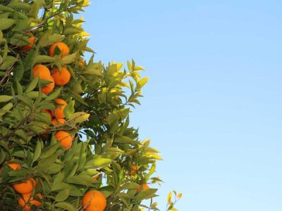 تصویر: dummy-provider-9-1775765921.jpg